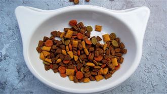 飼料冒食安？愛貓吃後生病！動保司回應了