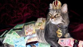 ▲生肖（圖／翻攝自pixabay）