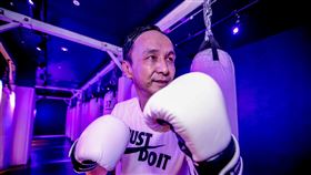 朱立倫日邀請立法委員洪孟楷、陳以信、謝衣鳳、李貴敏進行拳擊特訓，朱辦提供