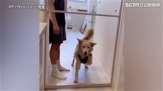 門只剩門框　狗狗不信揮舞空氣萌翻天