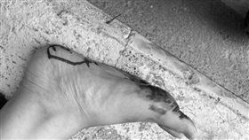 桃園,鐵釘,刺穿,紅綠燈,騎士,中正路