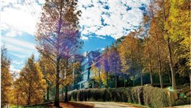 ▲每一層樓看出去的樹景，因高低落差而不同，各有疊巒層次的療癒之美。（圖／松之戀提供）