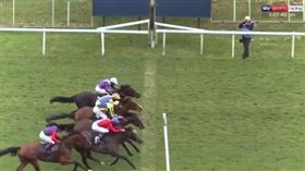 ▲英國賽馬4馬齊衝線。（圖／翻攝自比賽畫面）