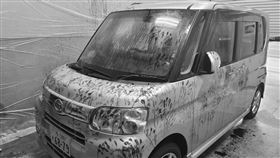 惡鬼狂拍車窗！鮮紅血掌佈滿車身…日創防疫「停車場鬼屋」 圖／翻攝自@ImaideAyaka4499推特