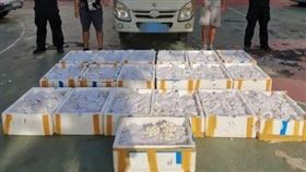 貨車傳怪味！警攔車驚見「11595顆蛇蛋」…全是眼鏡蛇（圖／翻攝自微博）
