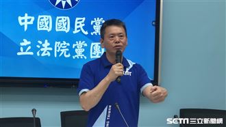 青壯派也不挺林為洲？國民黨改名棘手