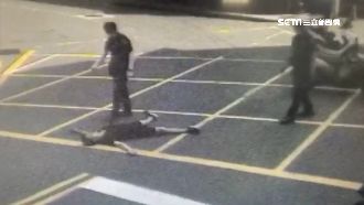 超鏘毒蟲大字躺路上　民眾目擊全笑翻