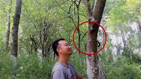 蛇,中國,黑夜騎士,樹林（圖／翻攝自youtube戶外騎士）