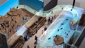 桃園Xpark水族館將於8/7開幕。（圖／翻攝自Xpark 官方Youtube）