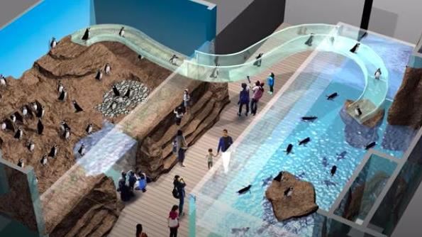 桃園水族館8/7開幕　完整票價曝光