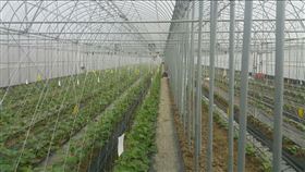 到女友家工作…她揭男友行徑網喊快逃（圖／翻攝自爆廢公社公開版臉書