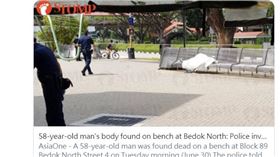 新加坡,公園,長椅,屍體,警察（圖／翻攝自@sgcontractor88推特）