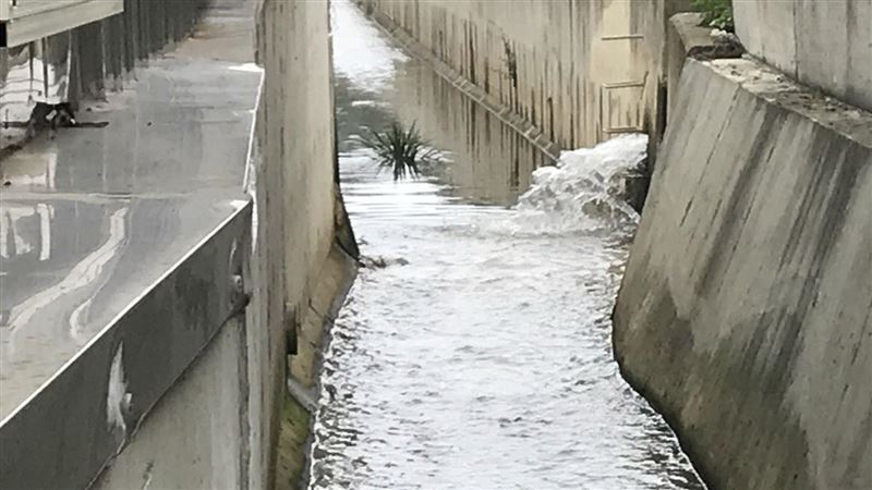 李郝都擋不了…他全程見證水利會內幕