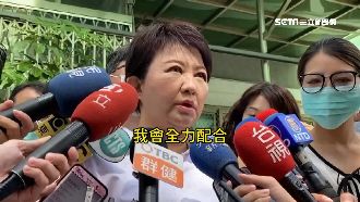 樹倒壓死騎士　中市府：協助申請國賠