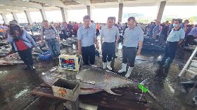 東港黑鮪魚捕獲量11年新高