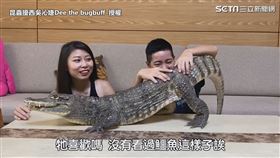 ▲鱷魚妹妹像隻小貓咪似的撒嬌。（圖／昆蟲擾西吳沁婕Dee the bugbuff 授權）