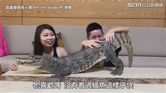 達人馴鱷魚摸背按摩　性格溫馴似小貓