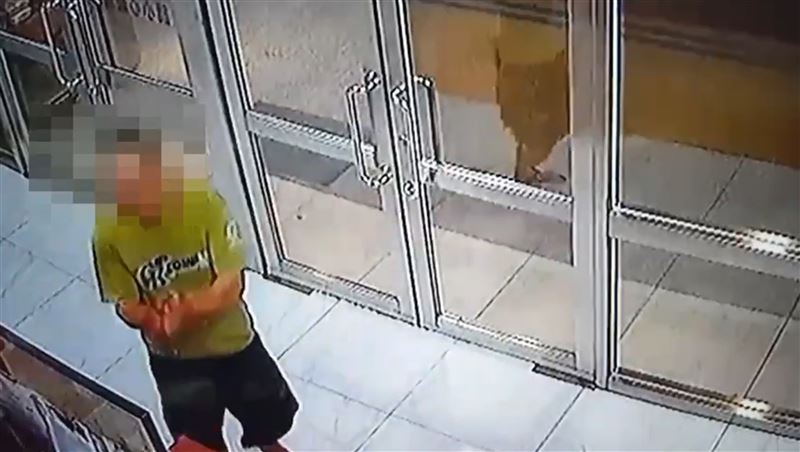 諷「看門狗」殺鄰居　男3小時後投案