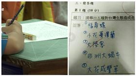 陸客,大陸客,自然,考卷,外來種