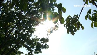 全台放「高溫假」？勞動部長「認1事」