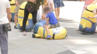 台中小小兵遭客襲　200隻剩30隻