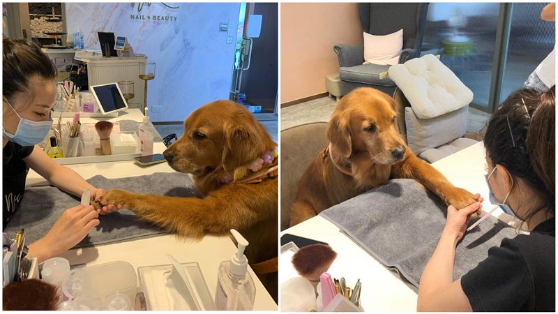 阿金也做美甲　伸手手盯場：要美美喔