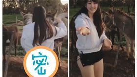 理工女神林少榆（圖／翻攝自ggshacylin IG）