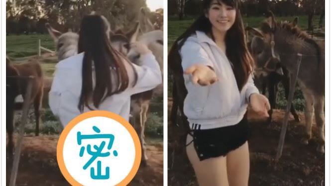 理工女神餵動物！網歪樓：褲子爆開？