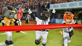 萊恩、小翔、魚頭君、Amigu、歐告在台南球場比賽跑步。(圖／統一提供)
