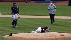 ▲史坦頓（Giancarlo Stanton）強襲球擊中田中將大頭部。（圖／美聯社／達志影像）