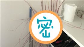 法國,馬鈴薯,封城,康城,觸手,廚房,外星生物（圖／翻攝自推特@ donna9p）