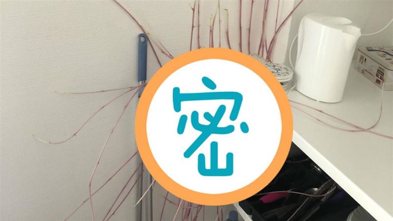 廚房角落冒「詭異紅觸手」　正妹嚇傻