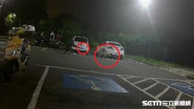 BB槍射狗(新北市政府動物保護防疫處)