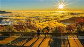 名家專用／網路溫度計（勿用）