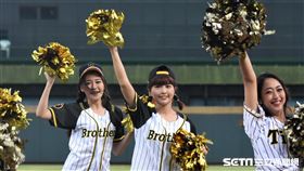 阪神虎啦啦隊女孩「Tiger Girls」來台灣。（圖／記者王怡翔攝影）