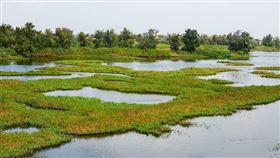  名家專用／台灣旅行趣（勿用）