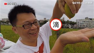 土芒果怎麼吃？台南人教你隱藏版吃法