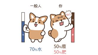 新鮮人陷求職困境？「平均寄出22封履歷只有一封回信」