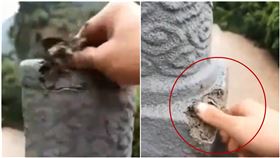 暴雨狂下！他實測重慶大橋護欄　「一捏就碎」嚇壞中國人（圖／翻攝自看看新聞）