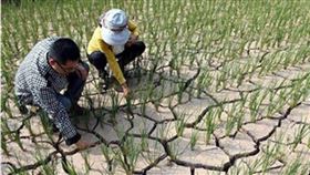 豬瘟、洪災不斷…他問中國啥時會飢荒？網揭真實數據解答了 （圖／翻攝自微博）