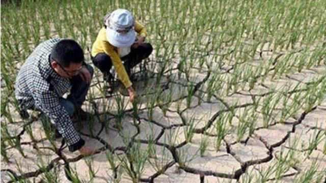 中國可能鬧飢荒？網揭糧倉數據解答了