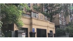 （圖／翻攝自搜狐新聞）