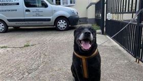 ▲英國被主人棄養的拉不拉多犬以及手寫字條。（圖／翻攝自臉書）