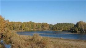 ▲新疆額爾齊斯河畔（圖／翻攝自百度百科）