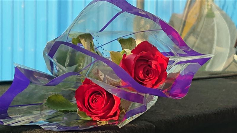 身障伯多送玫瑰花　他一暖舉被讚爆