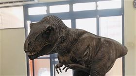 圖／記者谷庭攝,恐龍AR