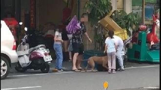 比特犬逞凶　街頭殺戮黑犬畫面曝光