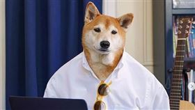 布克兄弟（Brooks Brothers）申請破產保護（圖／翻攝自brooksbrothers IG）