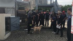 搜救犬救災　台南消防局先培訓領犬員台南市政府消防局辦理儲備領犬員人力訓練，7日起一連3天移地楠梓搜救犬馴養中心訓練，由特搜分隊搜救犬隊的3名領犬員擔任教官，教授專業技能及責任感。（台南市消防局提供）中央社記者張榮祥台南傳真　109年7月9日