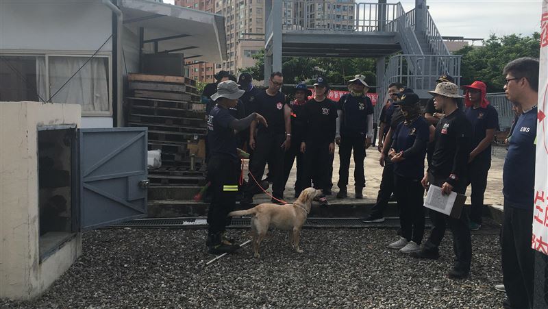 搜救犬救災　台南消防局先培訓領犬員